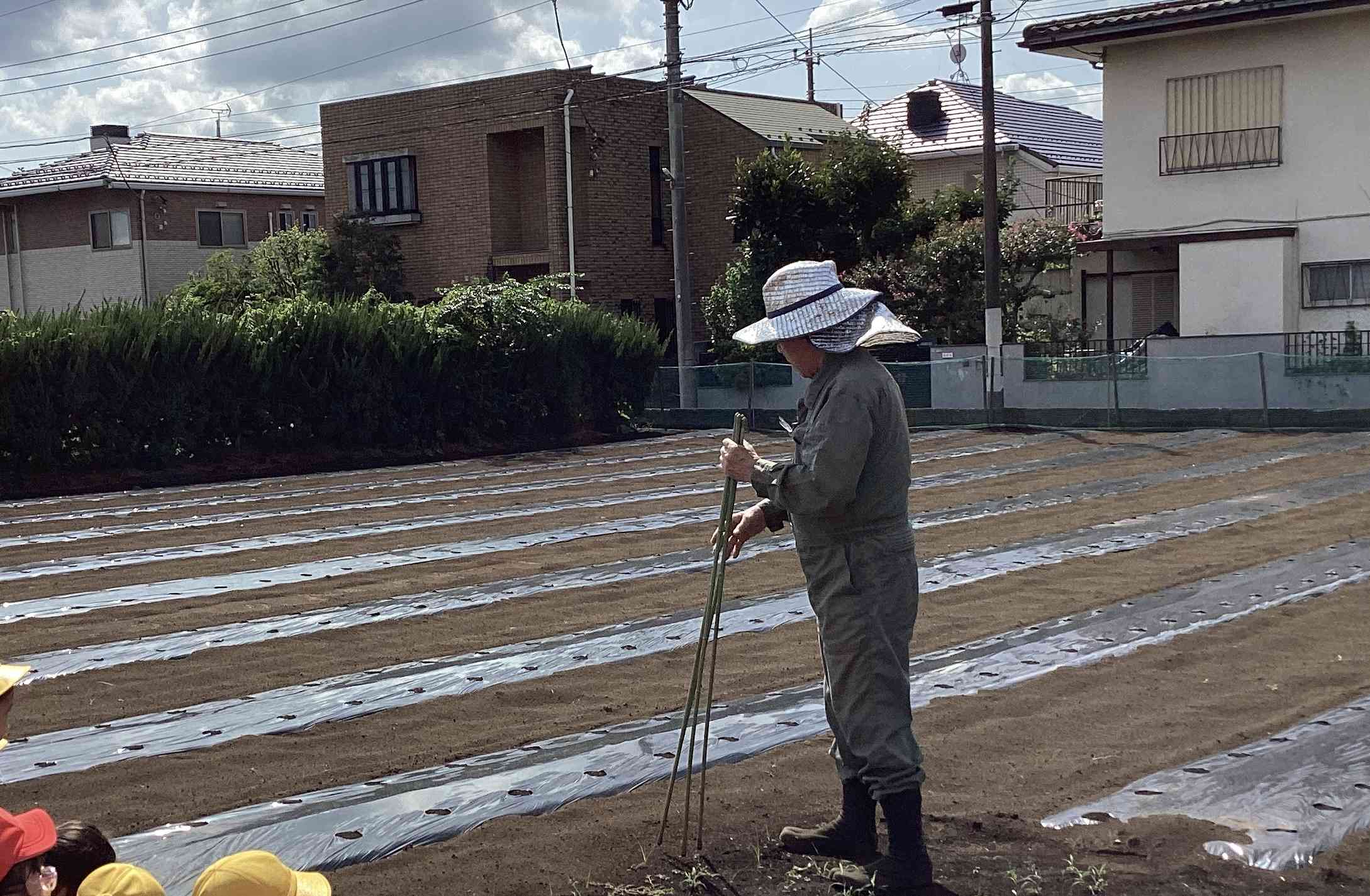 大根種まき①