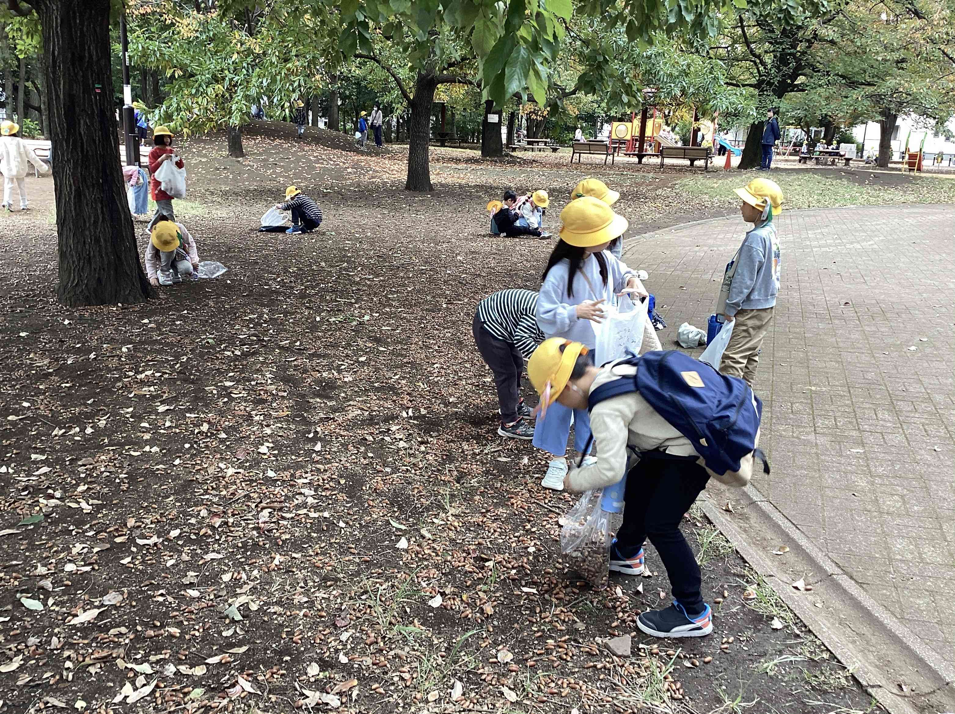 楽しいあきいっぱい①